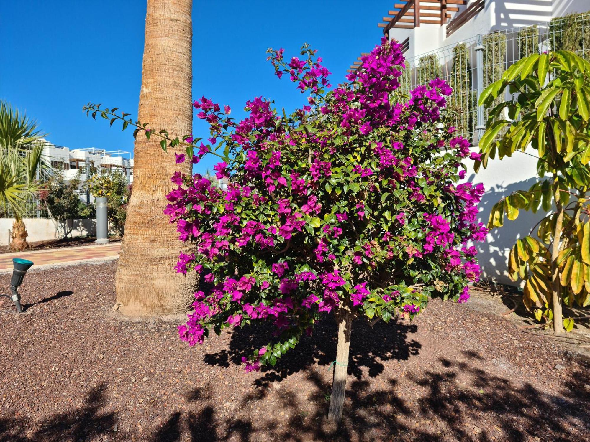 El Sueno Apartamento San Juan de los Terreros Exterior foto