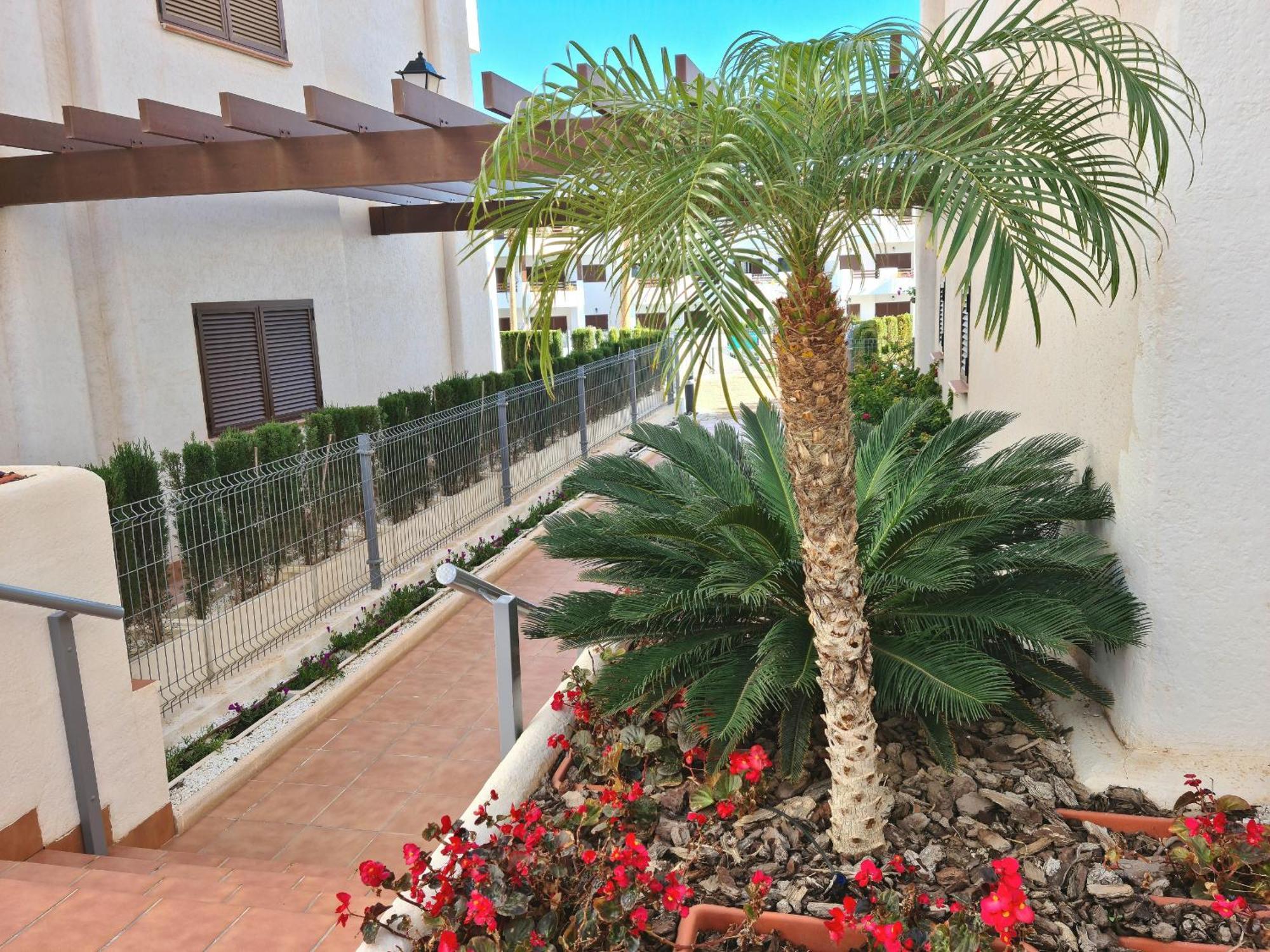 El Sueno Apartamento San Juan de los Terreros Exterior foto
