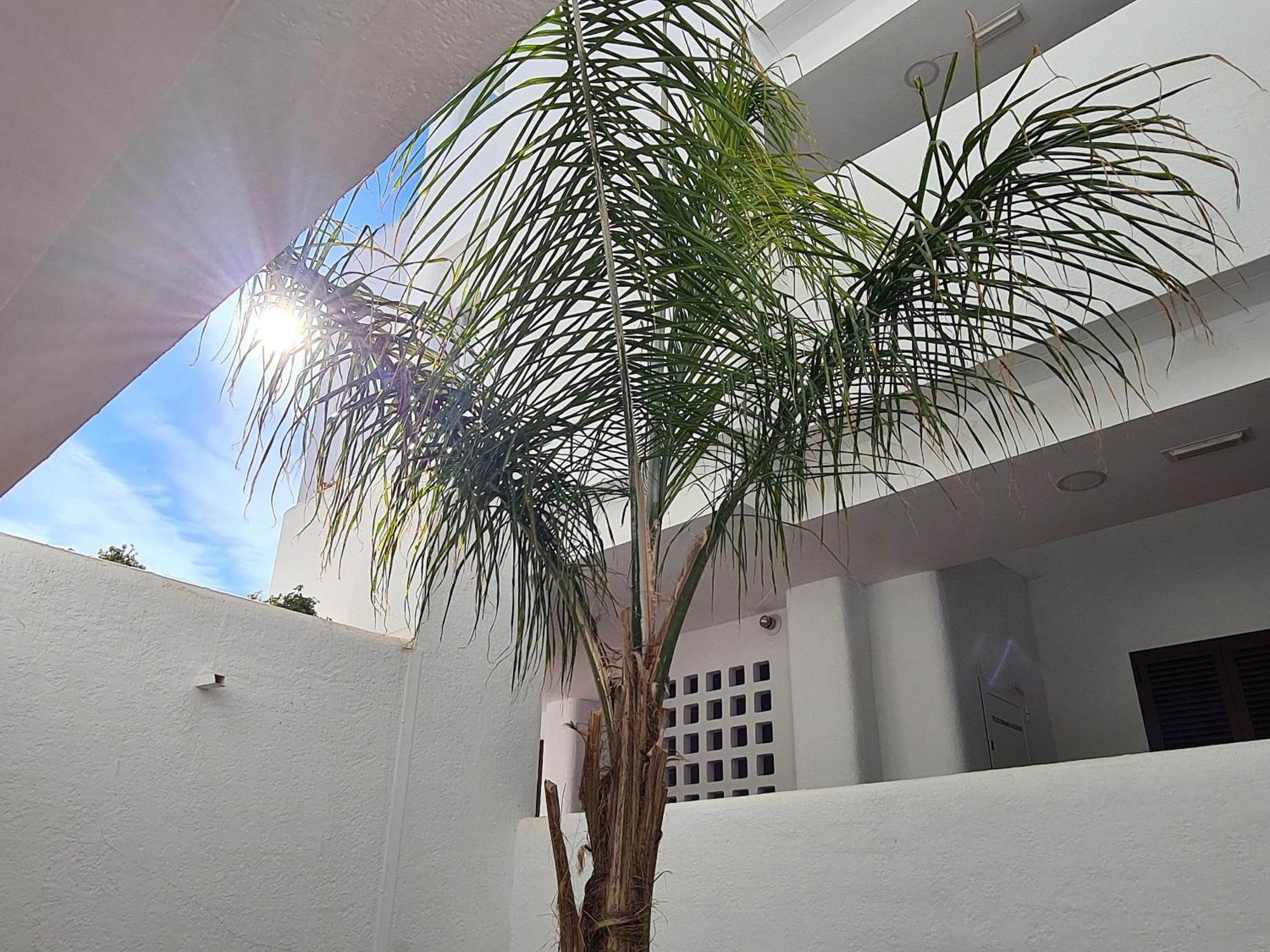 El Sueno Apartamento San Juan de los Terreros Exterior foto